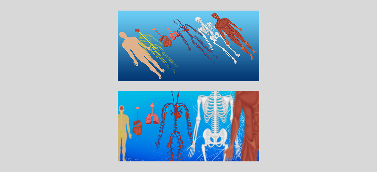 Body of Ageing - Graphic Design UI/UX Web Design Prototyping Wireframing and Visual Design